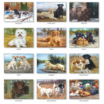 The 2025 Calendar Must Love Dogs from MyHomeDecor.ca showcases 12 months of Jim Killen's artwork: January features three dogs playing in the snow, February displays two Labradors by a lake, March brings you a black dog on a doorstep, April highlights a small white dog, May and June depict Golden Retrievers, and December captures dogs by a Christmas tree—Must Love Dogs!