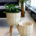 Small Basket Planter - Natural