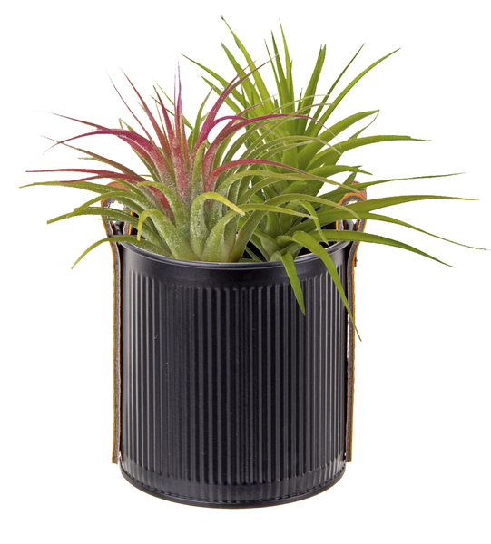 Mini Planter with Leather Handle - Black - Small