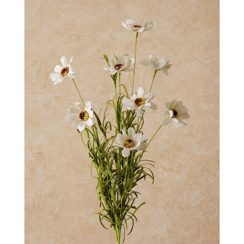 Spray - Coreopsis Blanc