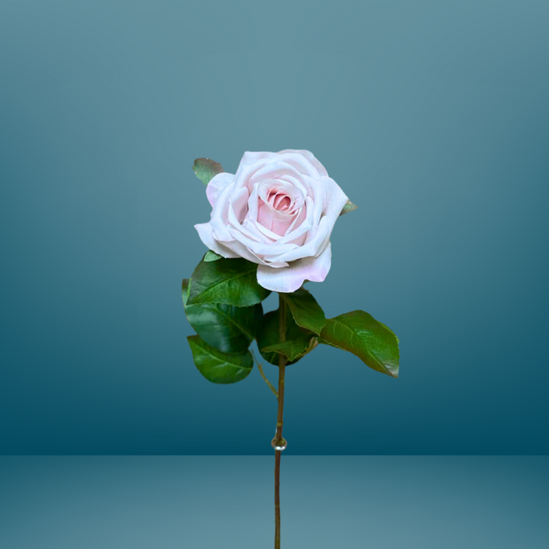 Branche de Rose de Vienne - Rose pâle