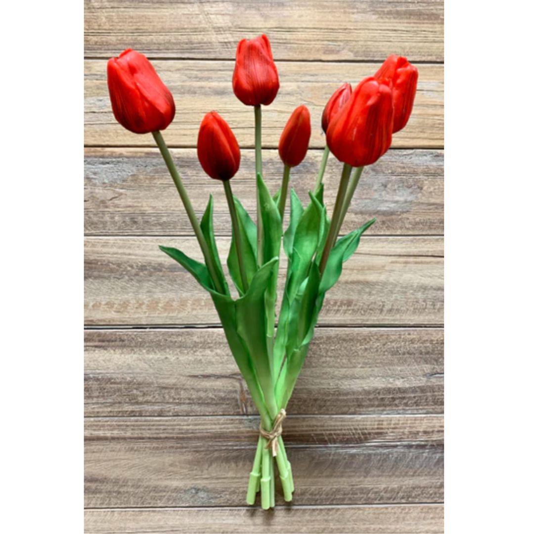 Lot de tulipes hautes Fresh Touch - Rouge