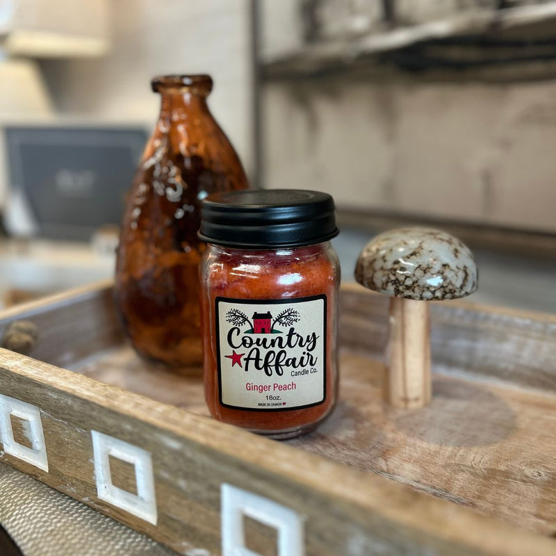 A long-lasting Ginger Peach Candle Jar from MyHomeDecor.ca sits on a wooden tray, accompanied by a brown glass bottle and a ceramic mushroom decoration. The background features blurred objects, including a lamp and wall decor, creating an inviting home decor scene.