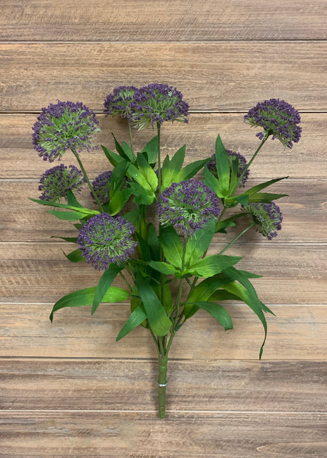 Allium Bush - Dark Purple