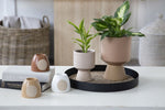 A neutral-toned room features small house plants in stylish cute Tapered Pot - Beige planters from MyHomeDecor.ca on a black tray. Nearby, two books are stacked with miniature Tapered Pots - Beige beside them. A wicker basket is partially visible in the background, adding to the cozy home decor.