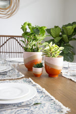 A wooden dining table is set with white plates, clear glasses, and patterned placemats. Three Small Bright Raised Base Pots - Orange/Pink/Sandstone from MyHomeDecor.ca with green house plants of varying sizes are placed in the center. In the background, there's a wooden chair and large green plant.