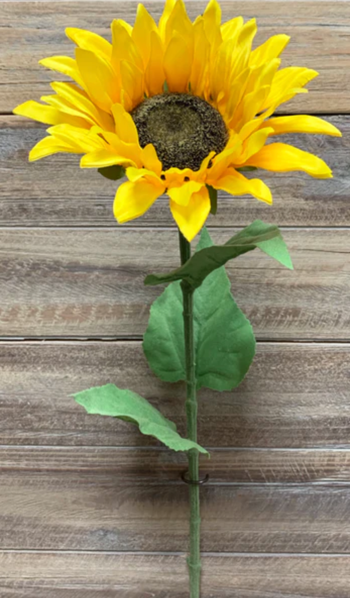 Sunflower - Yellow