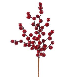 Outdoor Cranberry Pick - Deep Red